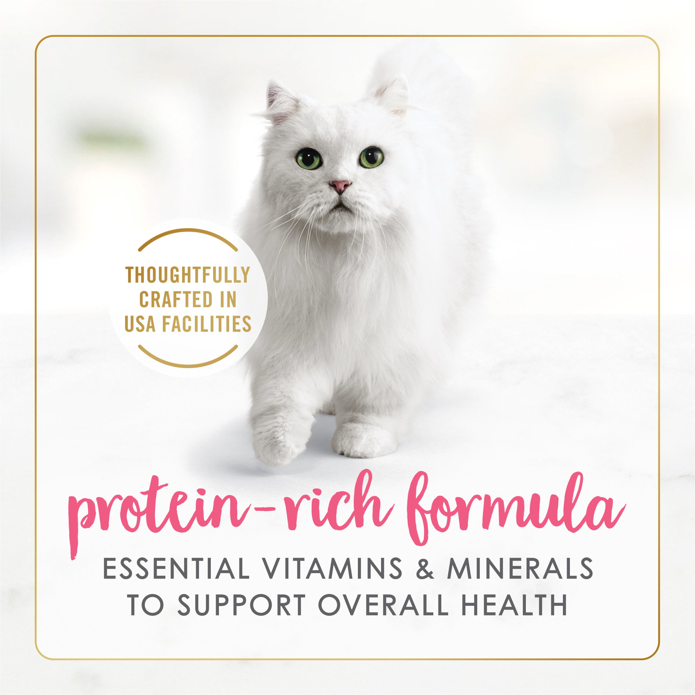 Salmon & Shrimp Gravy Cat Food Can