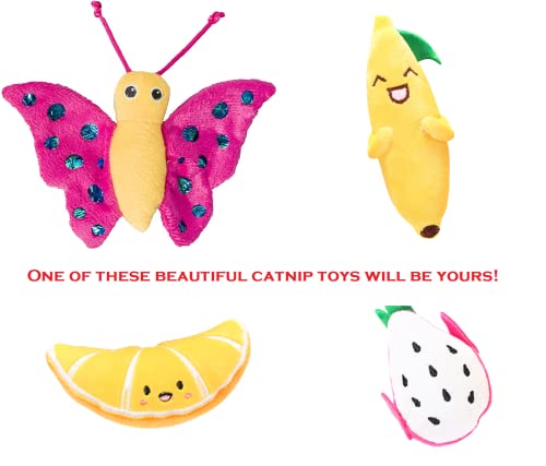 Catnip Toy & Dental Treats Variety Pack