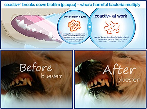 Oral care water additive for fresh cat breath
