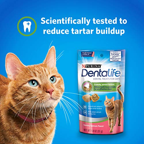 Salmon flavor Cat Dental Treats - 13.5 oz