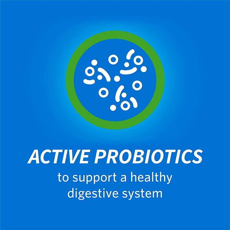 Catnip Toy & Dental Treats Variety Pack