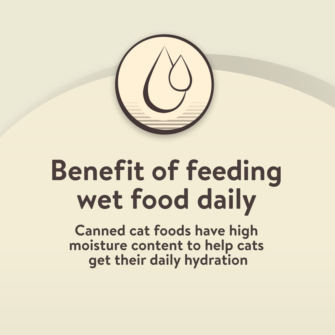 Chicken and Tuna Pate for Cats, 22 oz