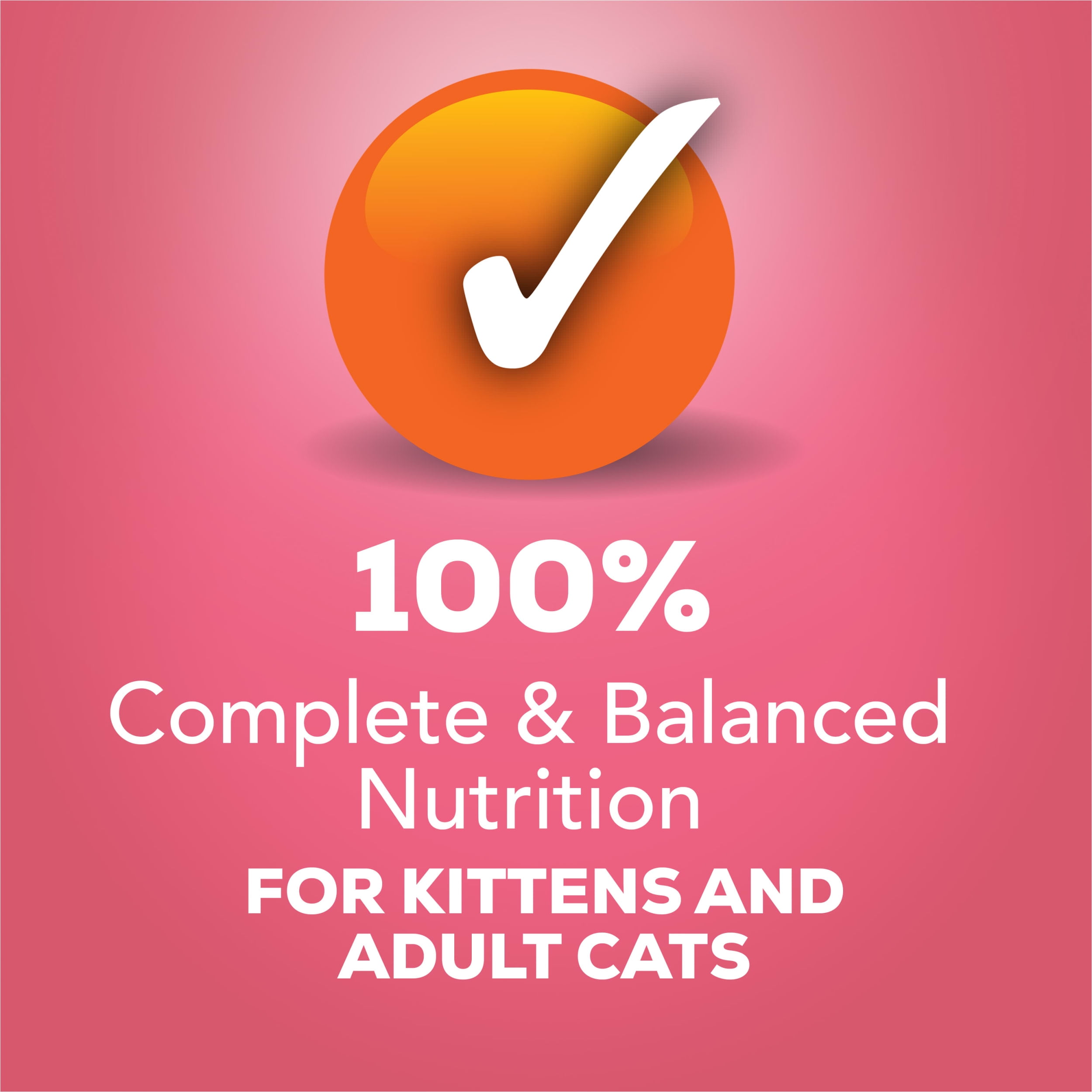 Salmon Pate Cat Food, 5.5 oz