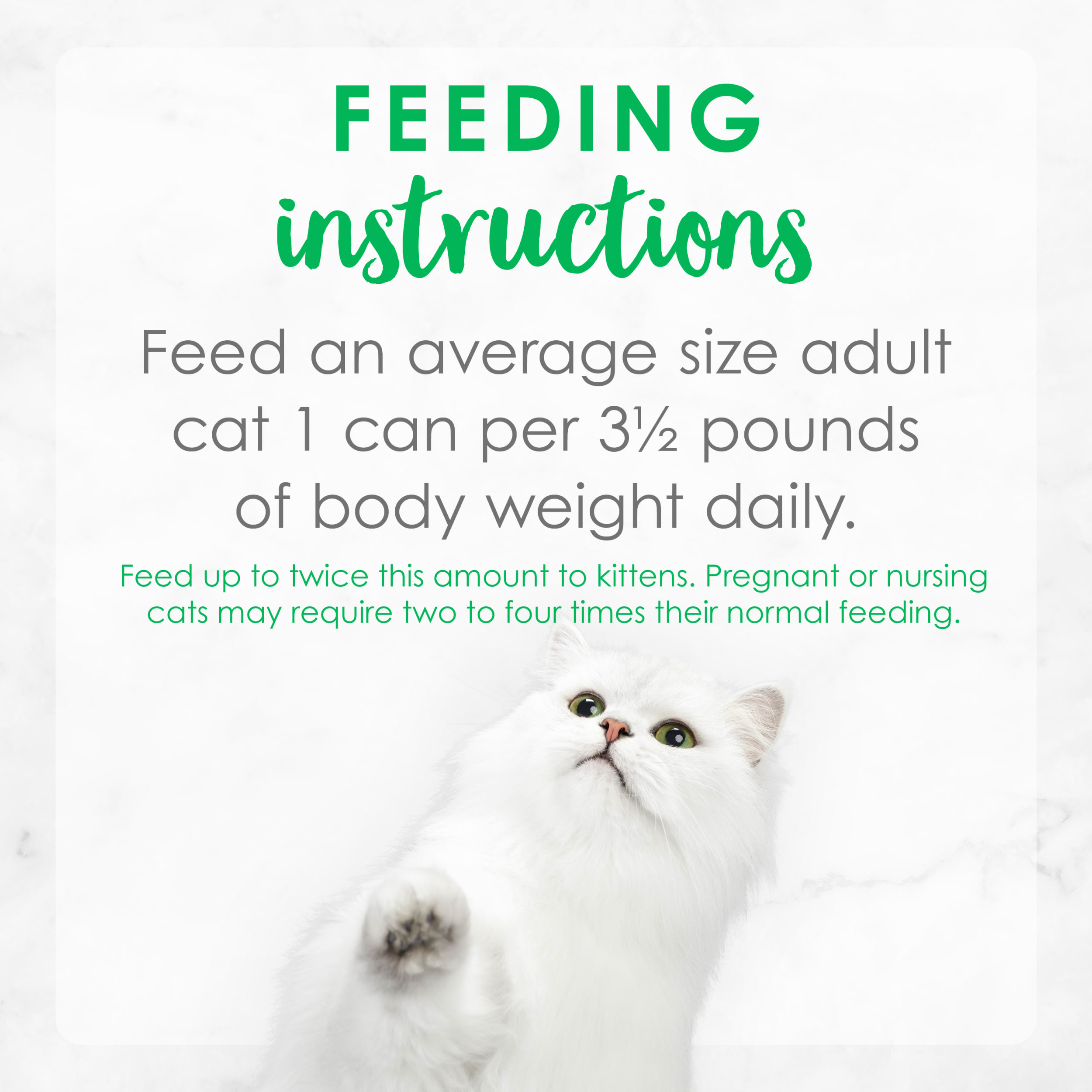 Fancy Feast Trout Wet Cat Food, 3oz