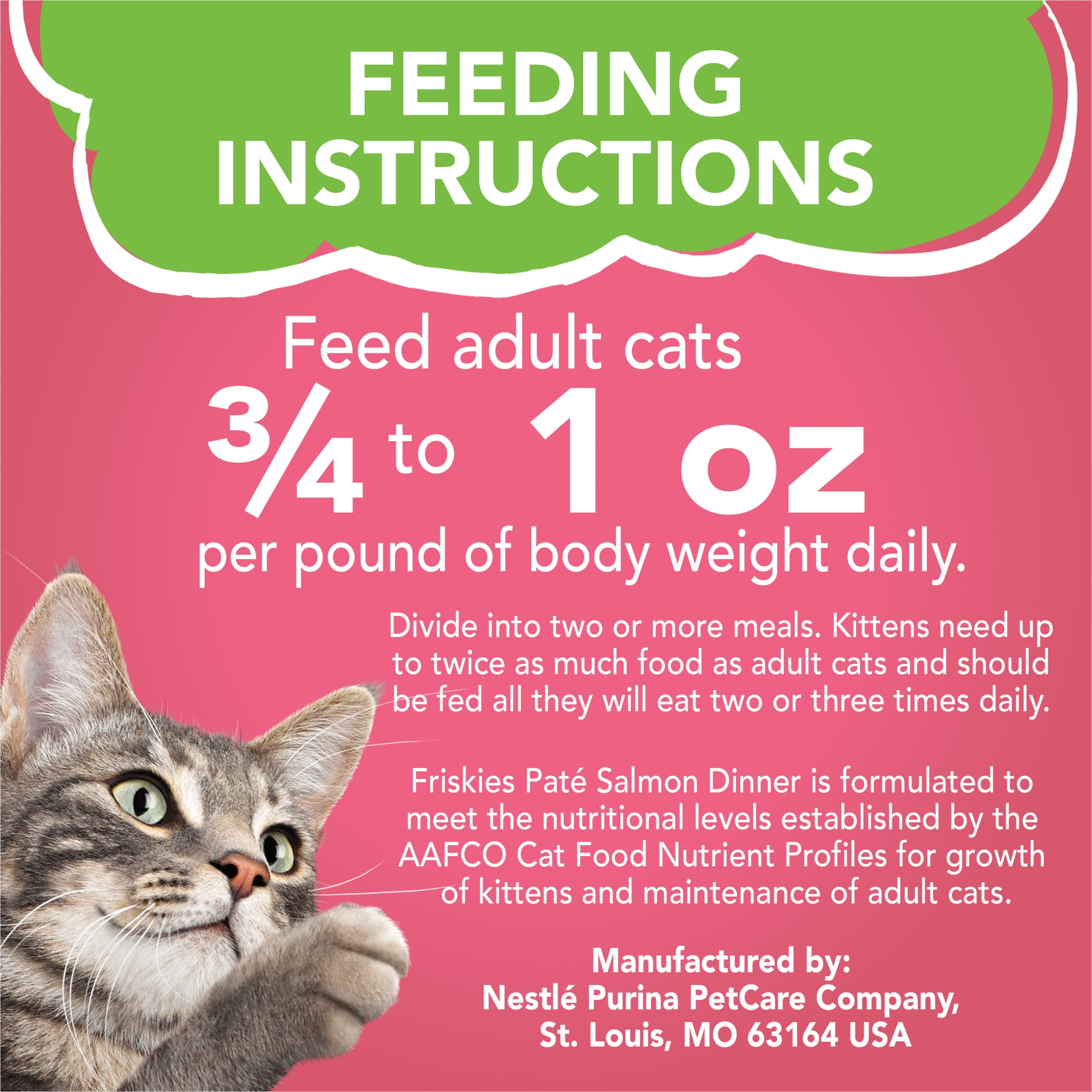 Salmon Pate Cat Food, 5.5 oz