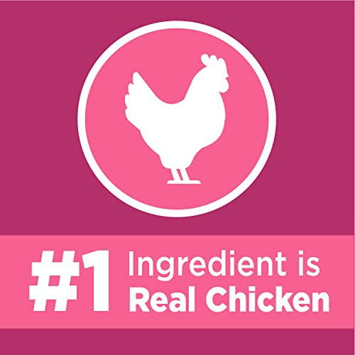 Urinary Tract Healthy Cat Food - 16lb Bag