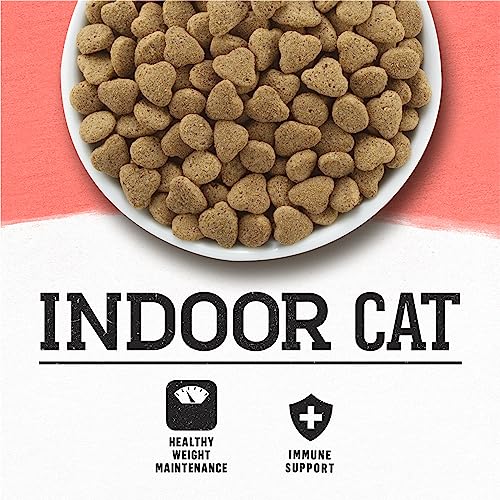 Simply Indoor Salmon Cat Food - 3lb