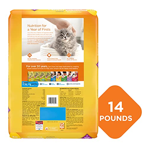 Purina Kitten Chow for Muscle and Brain - 14 lbs
