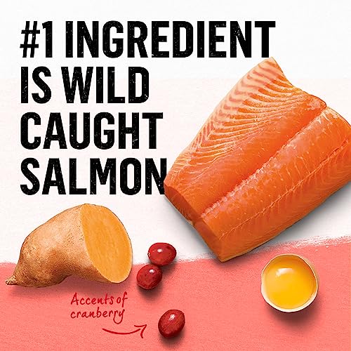 Simply Indoor Salmon Cat Food - 3lb