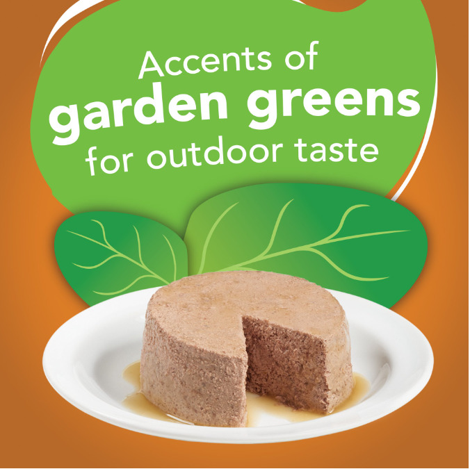 24 Pack of Chicken & Greens Pate Cat Food