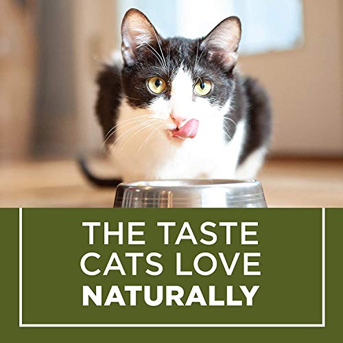 Indoor Cat Chow with Real Meat, 3.15lb