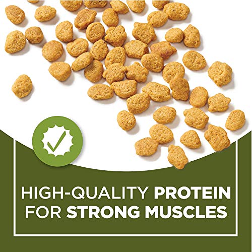 Indoor Cat Chow with Real Meat, 3.15lb