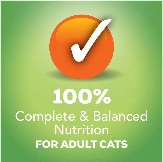 Indoor Wet Cat Food Pack - 24 Cans