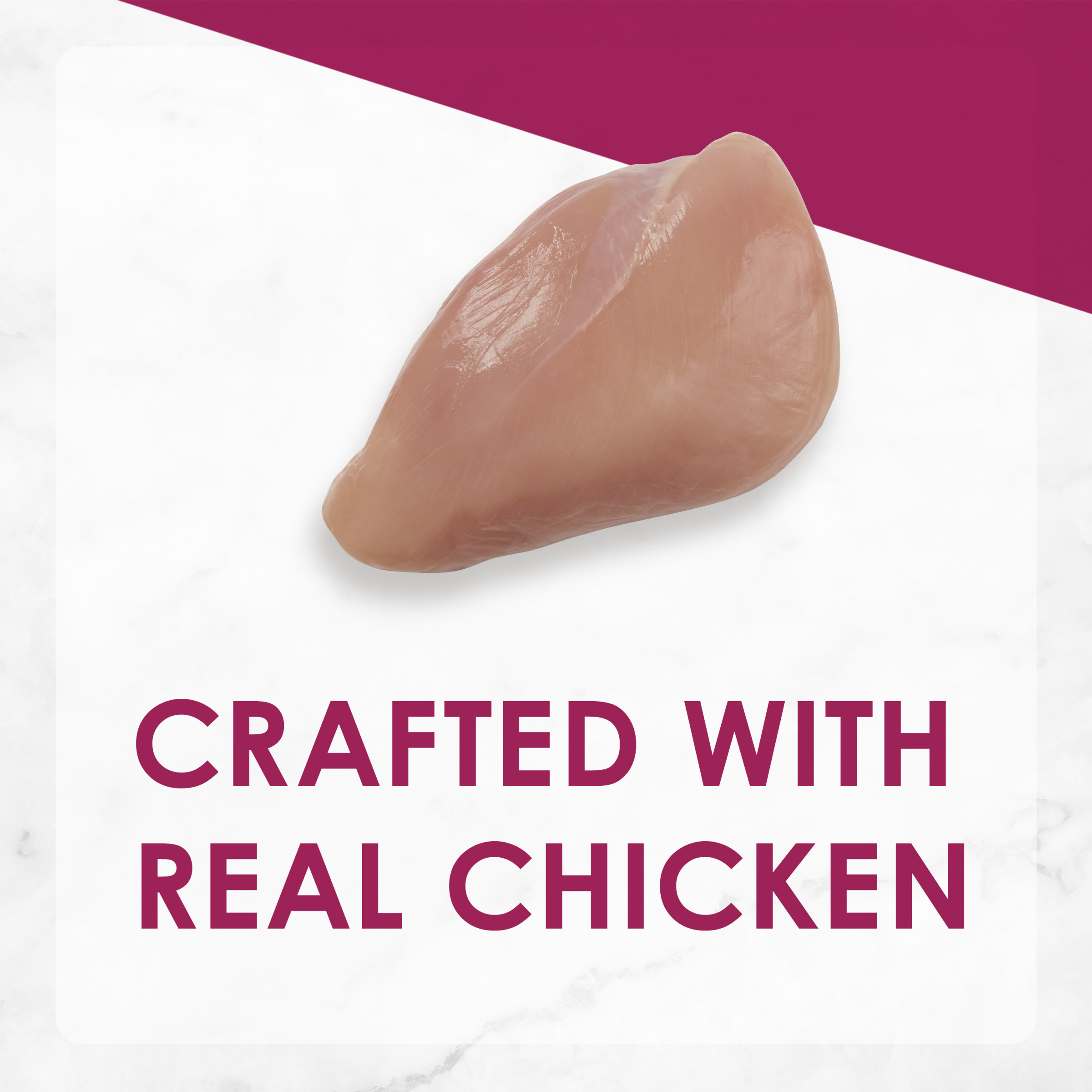 Fancy Feast Chicken Pate Cat Food - 3oz