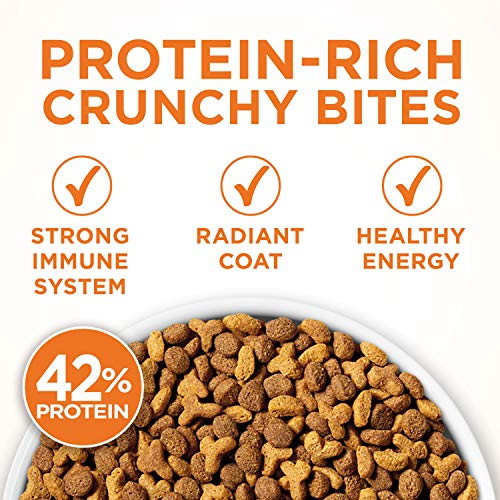 High Protein Turkey Cat Food - 7 lbs