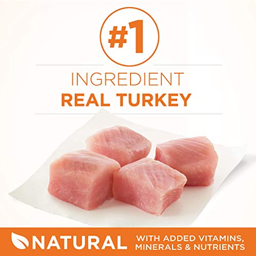 High Protein Turkey Cat Food - 7 lbs