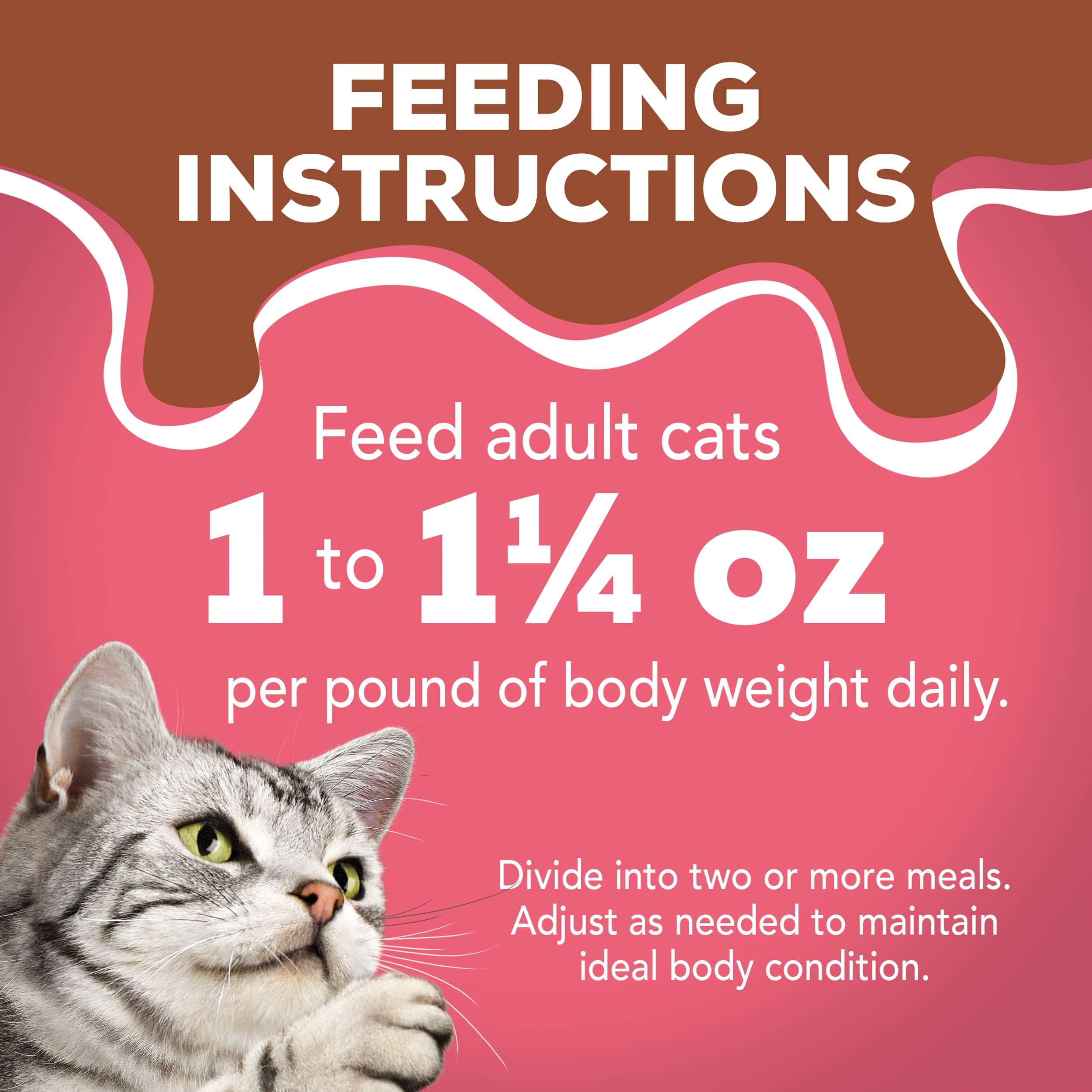 Salmon Wet Cat Food, 5.5 oz Can