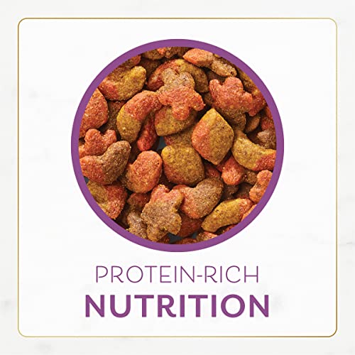 Fancy Feast Cat Food with Chicken & Turkey