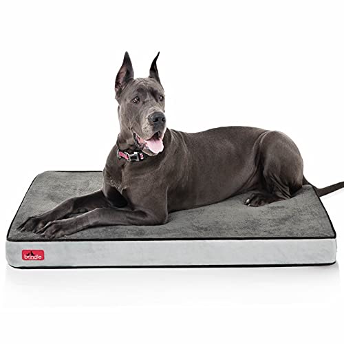 Waterproof Designer Memory Foam Pet Bed - 4 Inch
