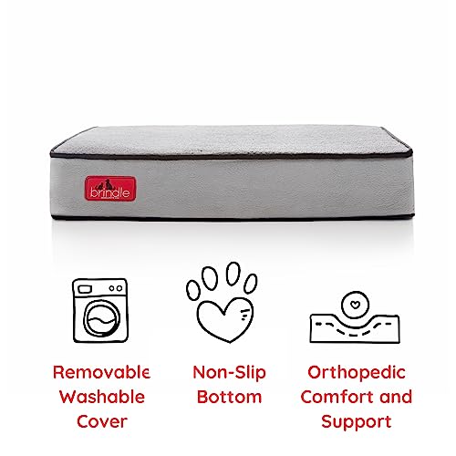 Waterproof Designer Memory Foam Pet Bed - 4 Inch