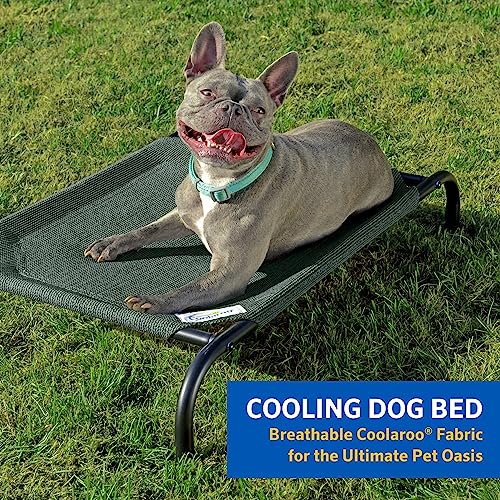 Coolaroo The Original Cooling Elevated Pet Bed, Small