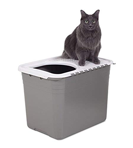 Petmate Top Entry Cat Litter Box with Filter
