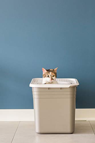 Petmate Top Entry Cat Litter Box with Filter