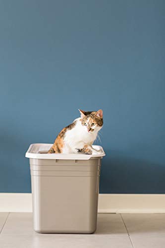 Petmate Top Entry Cat Litter Box with Filter