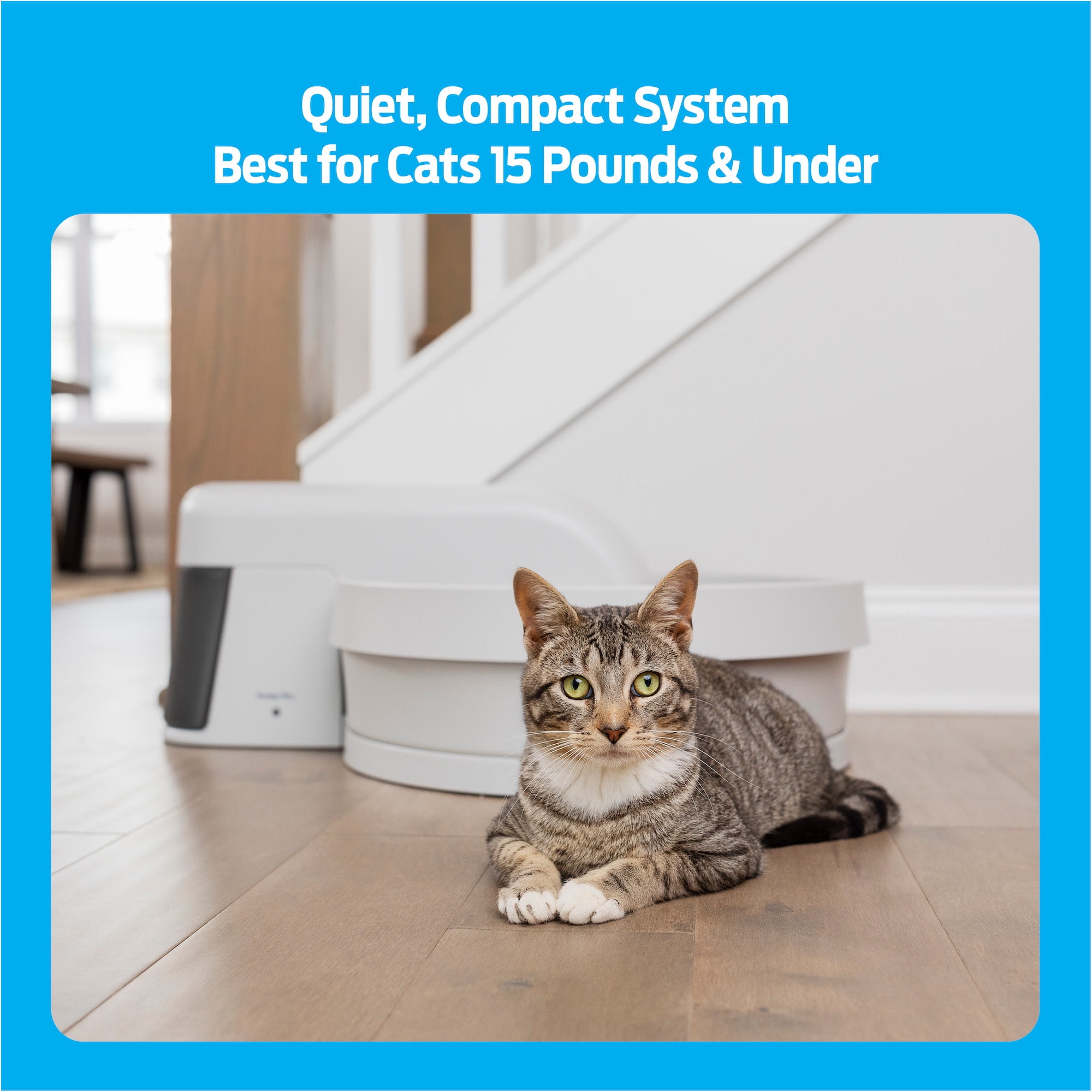 Auto-Clean Litter Box for Cats