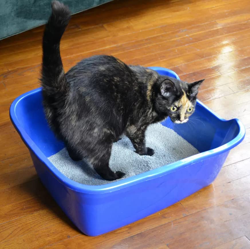 Van Ness Large Blue Cat Litter Box