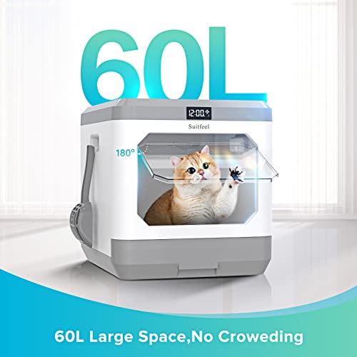 Enclosed Cat Litter Box with Odor Control