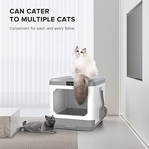 Enclosed Cat Litter Box with Odor Control