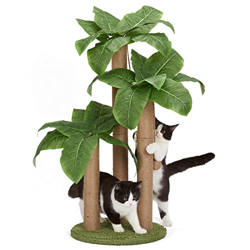 31.5" Cat Scratching Post with Dangling Ball