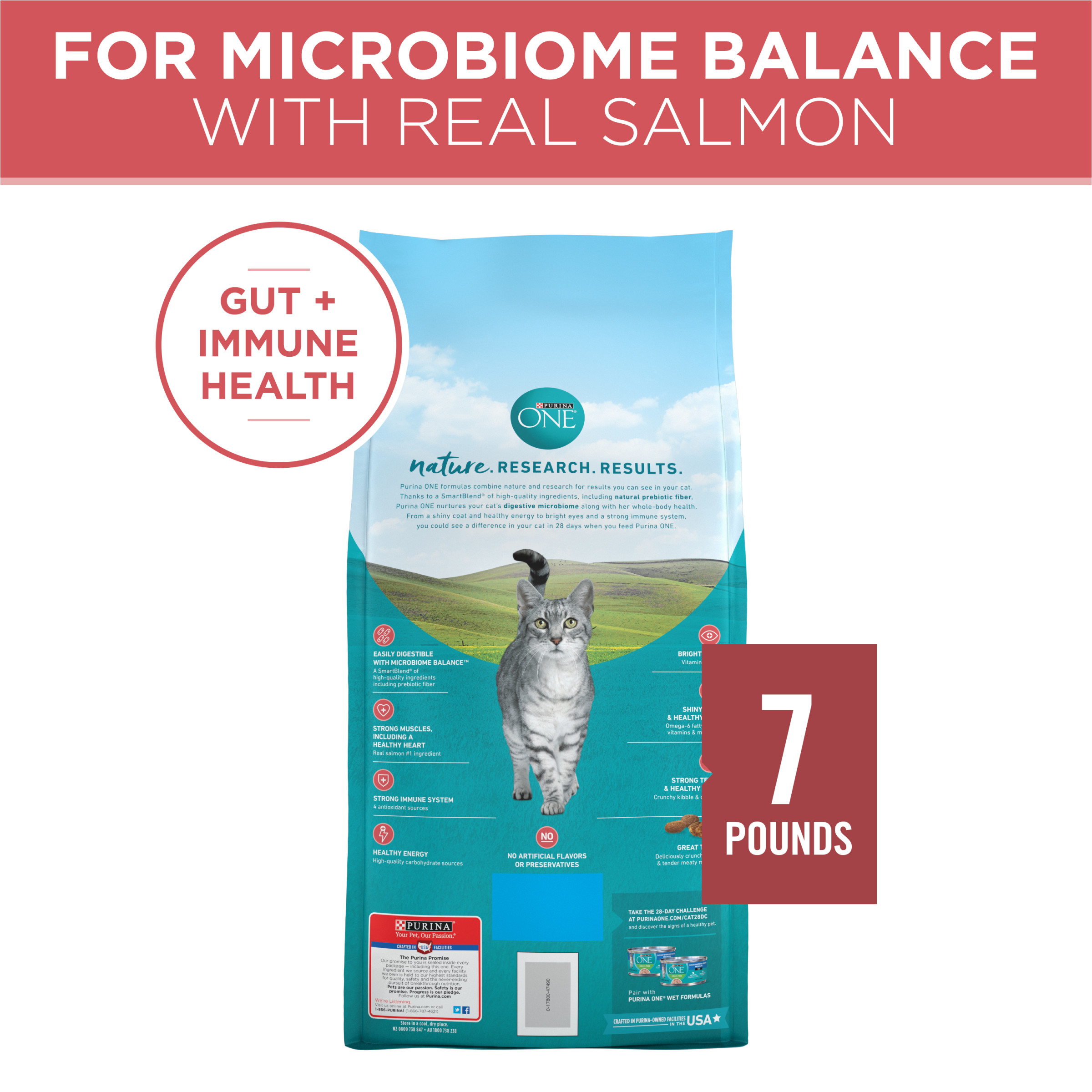 Salmon Flavor Cat Food - 7 lbs