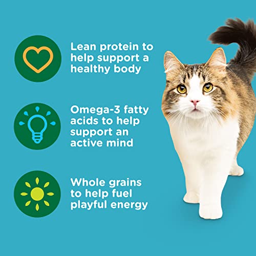 Salmon & Brown Rice Cat Food -14lbs