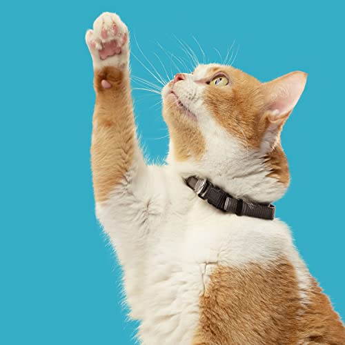 Salmon & Brown Rice Cat Food -14lbs