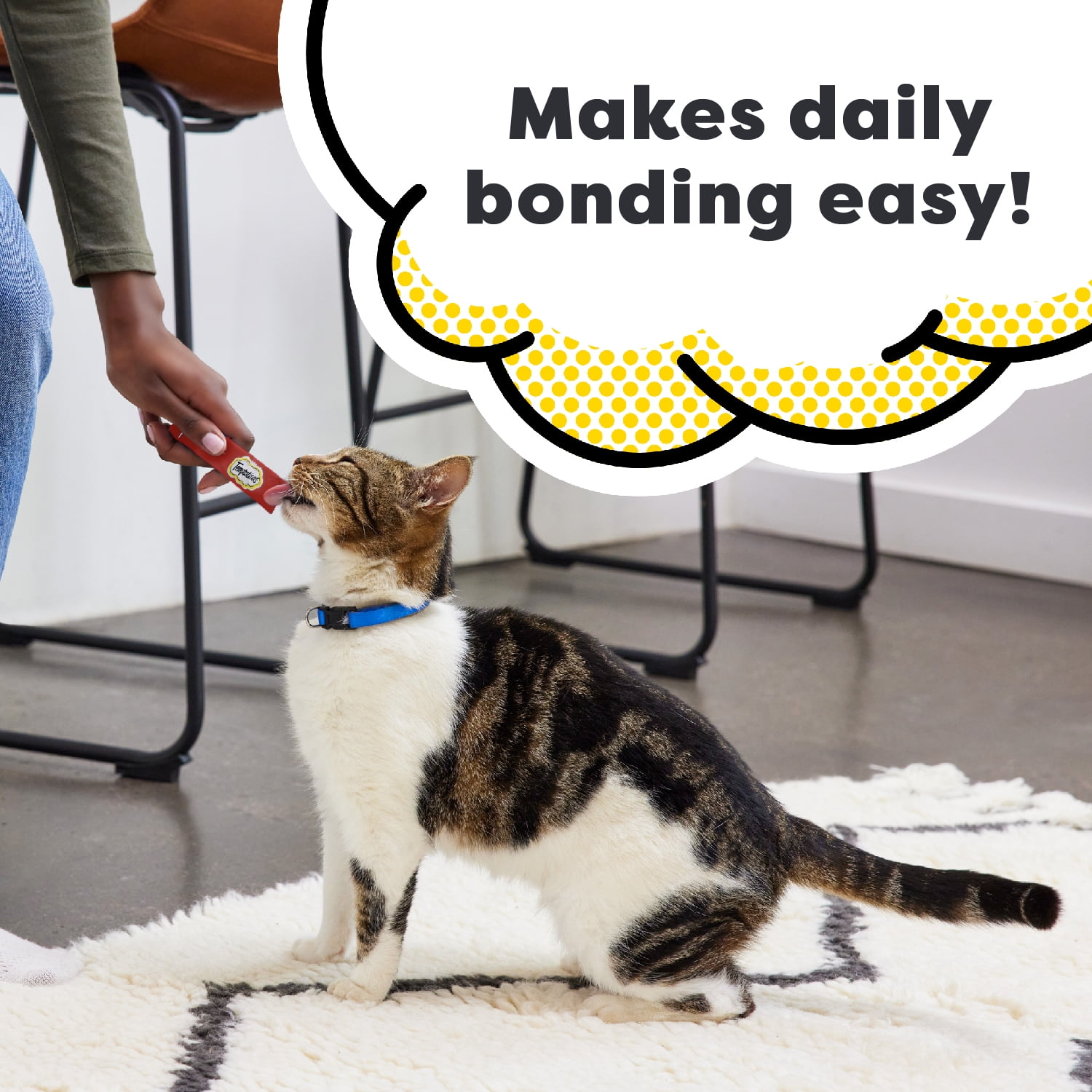 Lickable Chicken Cat Treats (16 Pouches)