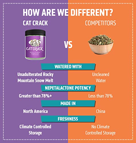 100% Natural Cat Crack Catnip Blend (1 Cup)