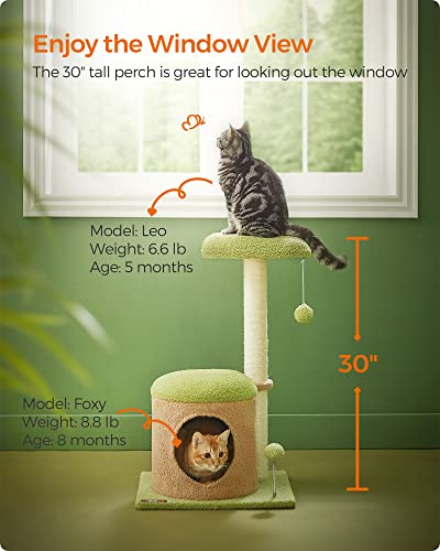 WhimsyWonders 30-Inch Cat Tree House