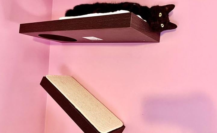 PetFusion Cat Wall Shelves - Sisal & Plush