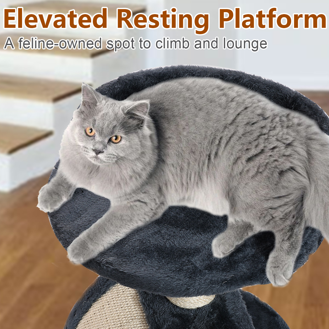 16" Perch Cat Scratching Post for Indoor Cats