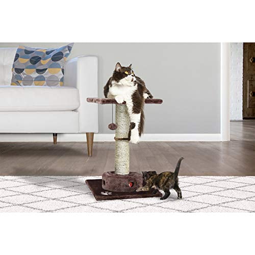 Brown FurHaven Tiger Tough Cat Playground Furniture