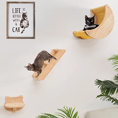 Cat Wall Climbing Set with Hammock & Shelves