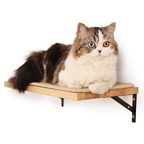 Floating Cat Shelf with Scratching Mat