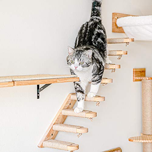 FUKUMARU Wall-Mounted Cat Stairway & Perch