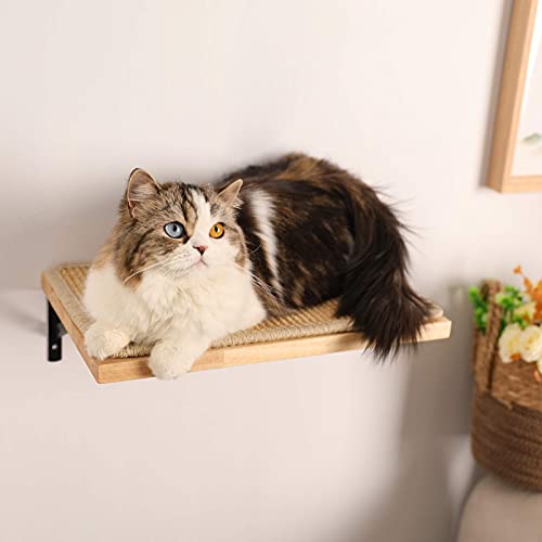 Floating Cat Shelf with Scratching Mat