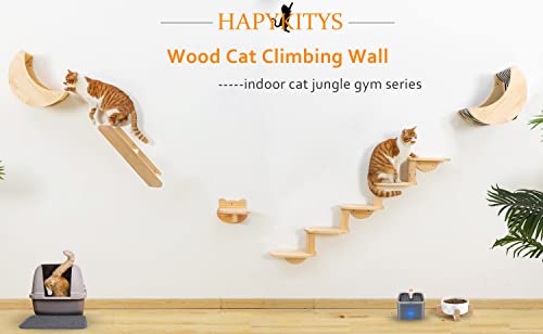 Cat Wall Climbing Set with Hammock & Shelves
