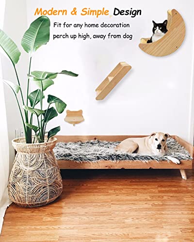 Cat Wall Climbing Set with Hammock & Shelves