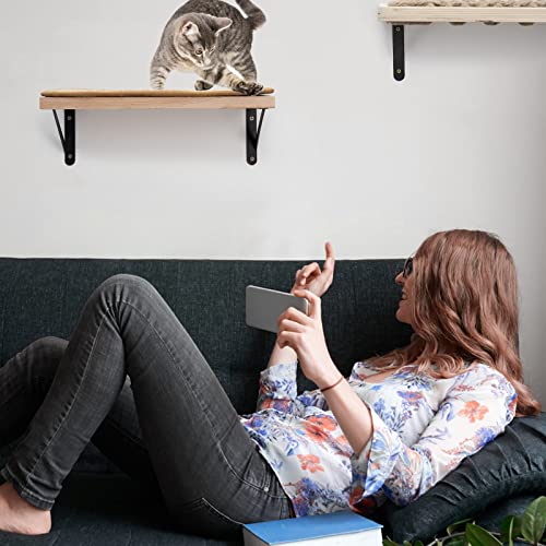 Floating Wall-Mounted Cat Shelves with Feeder