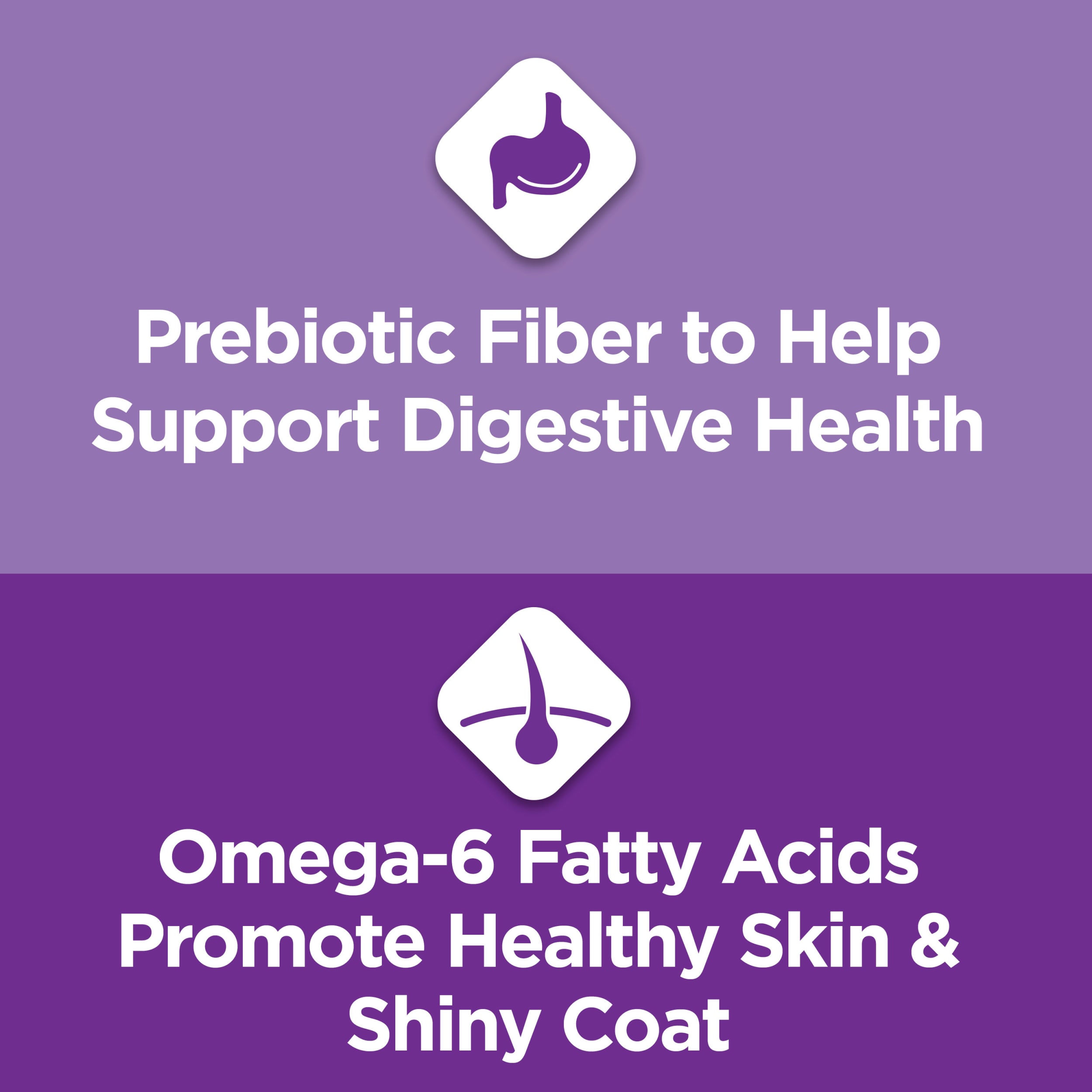 Turkey Dry Cat Food for Sensitive Stomachs